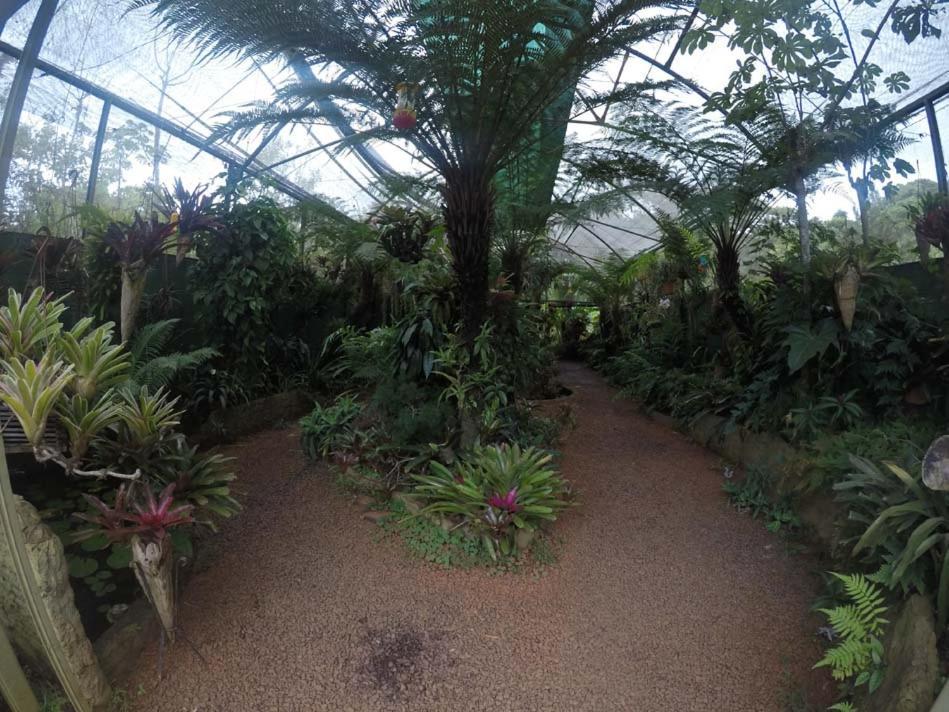 ホテル El Pueblito Iguazu プエルト・イグアス エクステリア 写真